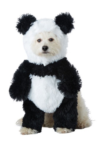dog-panda-costume