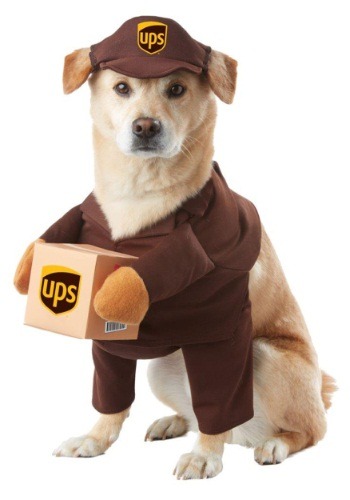 ups-dog-costume