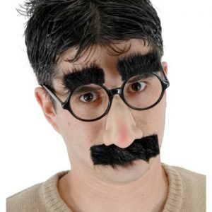 Groucho Glasses