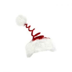 Springy Santa Hat